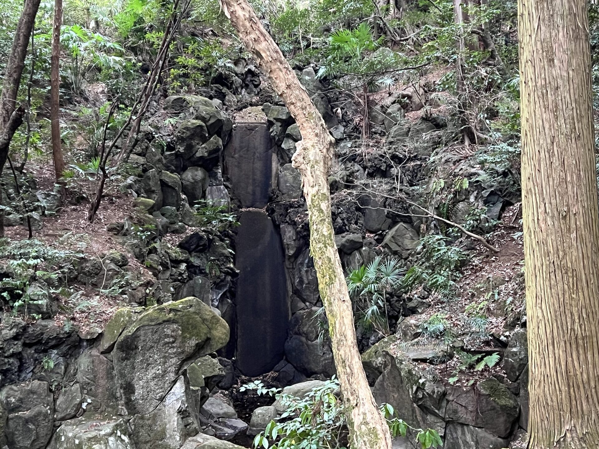 地球ノオト旅めぐり情報