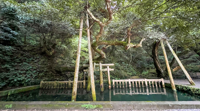 Kashima Jingu Mitarashi Ike